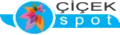 Çiçek Spot ikinci el eşya alanlar Komple 2.el mobilya